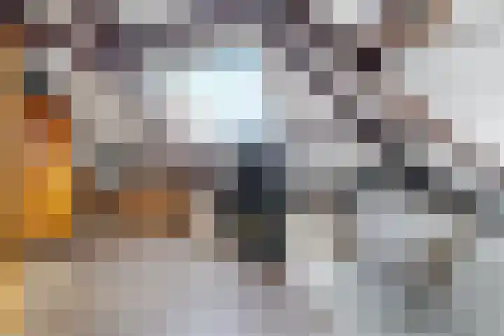 Verkuijl Quakkelaarstraat 25 Vlissingen thumbnail 37