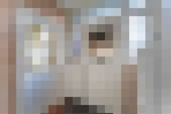 Verkuijl Quakkelaarstraat 25 Vlissingen thumbnail 5