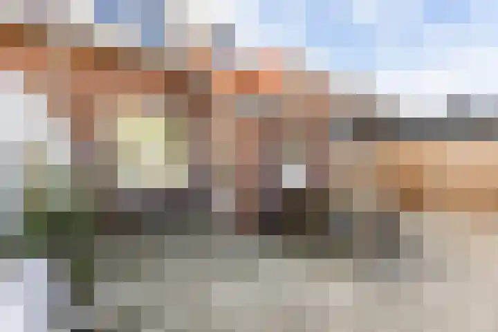 Verkuijl Quakkelaarstraat 263 Vlissingen thumbnail 21