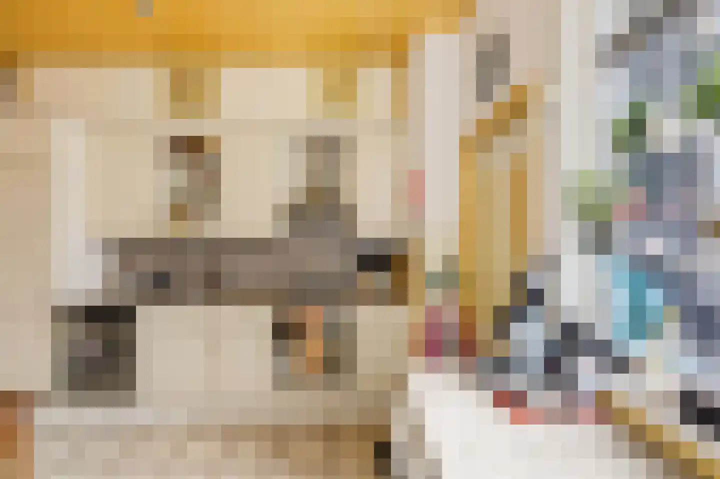 Verkuijl Quakkelaarstraat 32 Vlissingen thumbnail 15