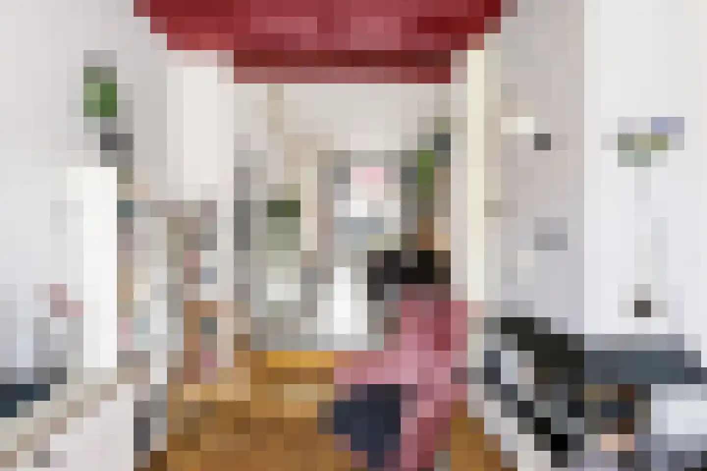Verkuijl Quakkelaarstraat 32 Vlissingen thumbnail 8