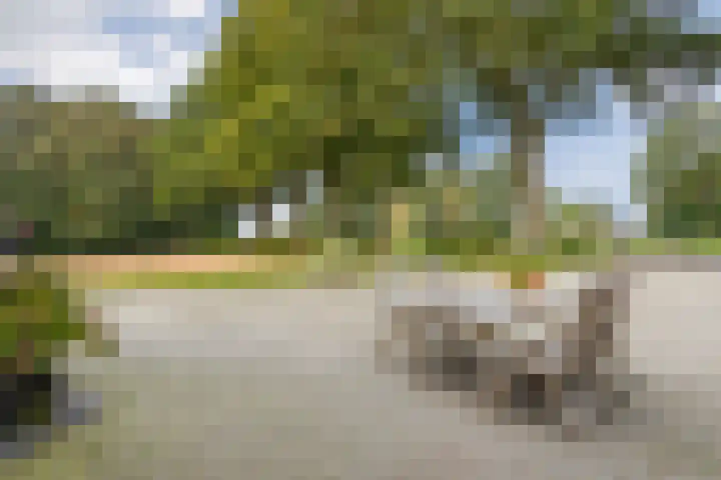 Verl Hoogeveense Vaart 165 Geesbrug thumbnail 99