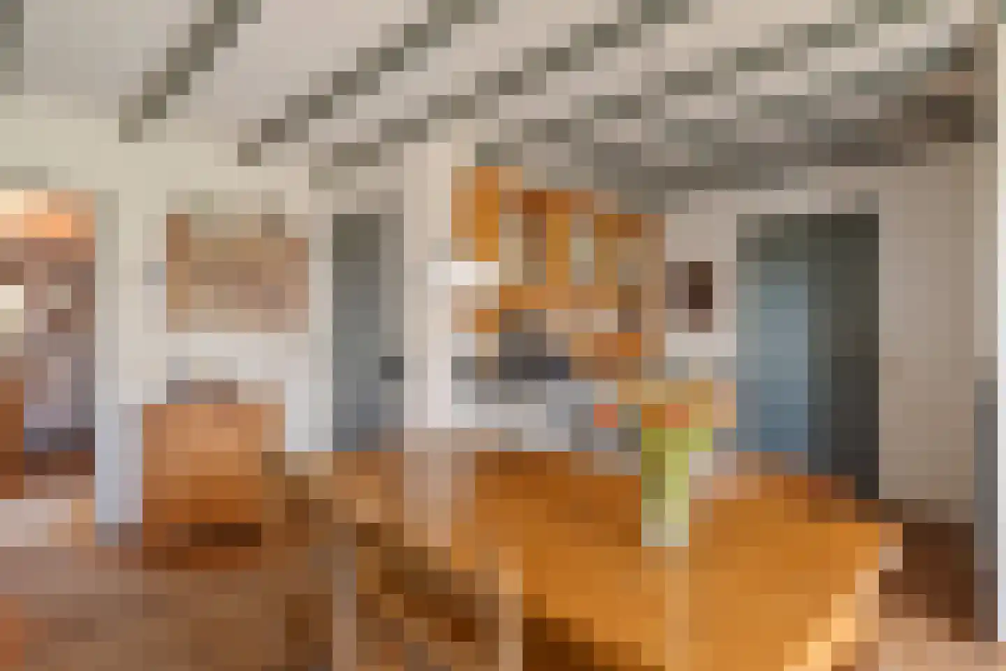 Verl Hoogeveense Vaart 38 Oosterhesselen thumbnail 21