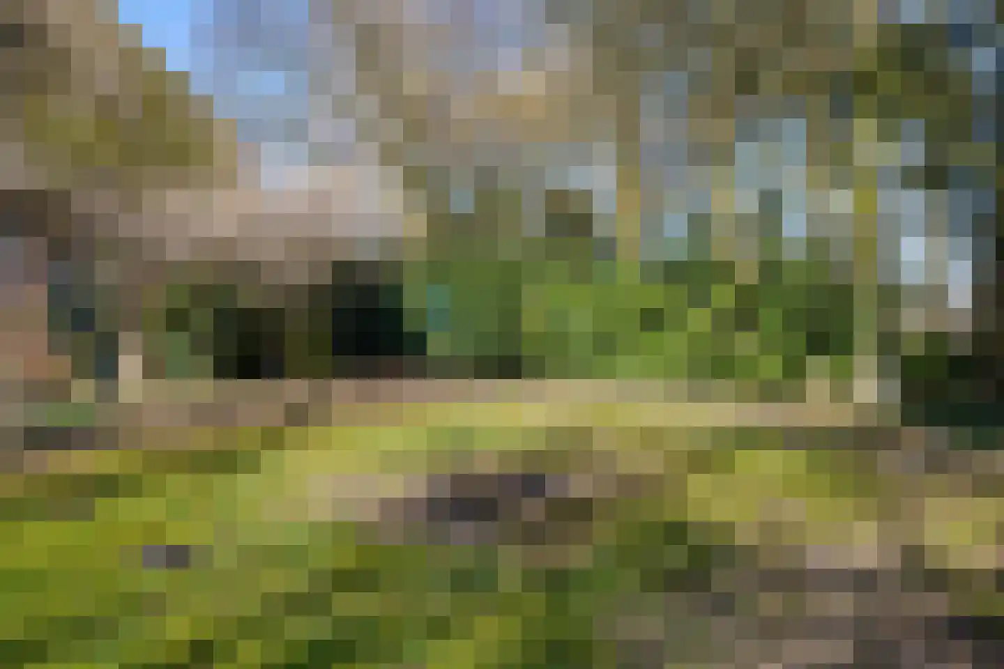 Verl Hoogeveense Vaart 38 Oosterhesselen thumbnail 40
