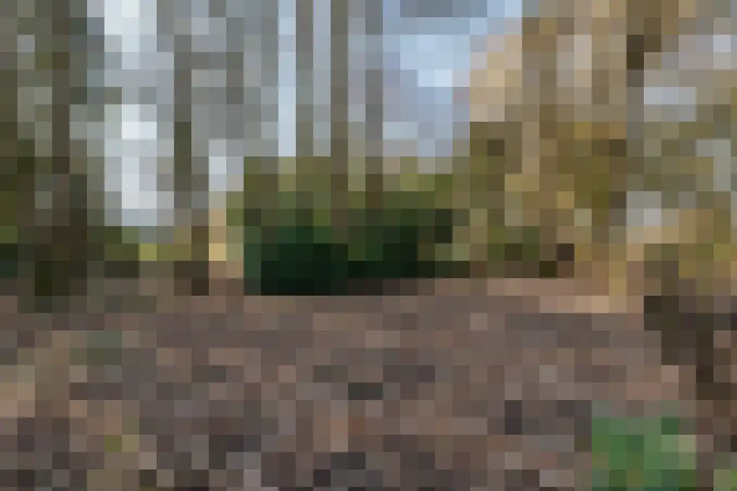 Verl Hoogeveense Vaart 38 Oosterhesselen thumbnail 44