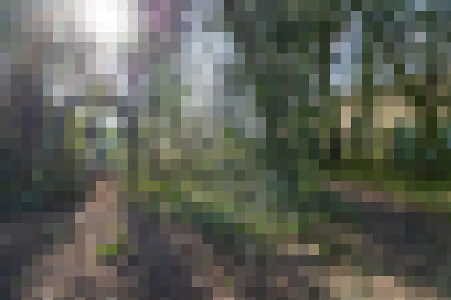 Verl Hoogeveense Vaart 38 Oosterhesselen thumbnail 51