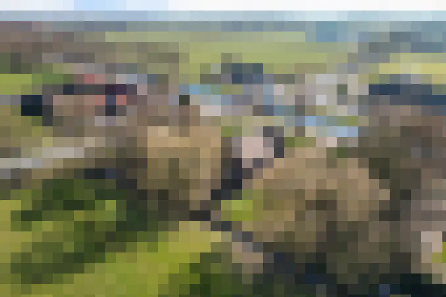 Verl Hoogeveense Vaart 38 Oosterhesselen thumbnail 54