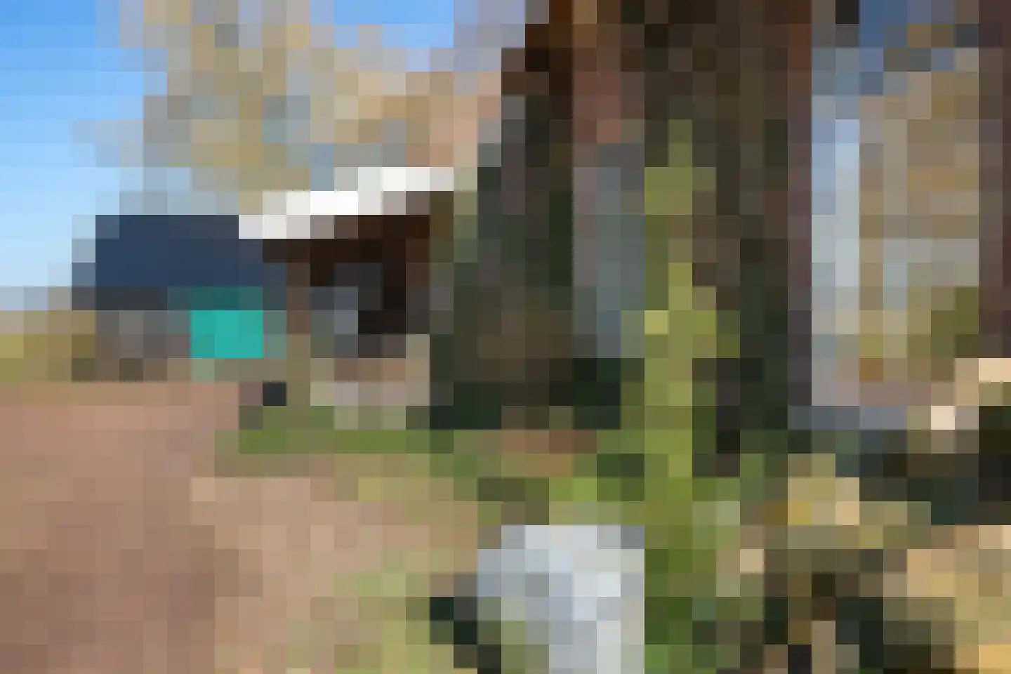 Verl Hoogeveense Vaart 38 Oosterhesselen thumbnail 9