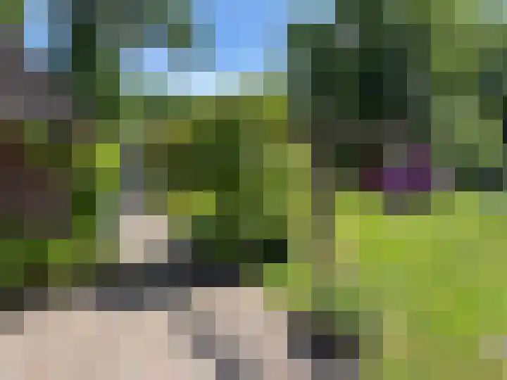 Verl Hoogeveense Vaart 57 Zwinderen thumbnail 15