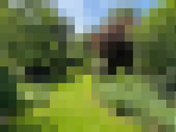 Verl Hoogeveense Vaart 57 Zwinderen thumbnail 18