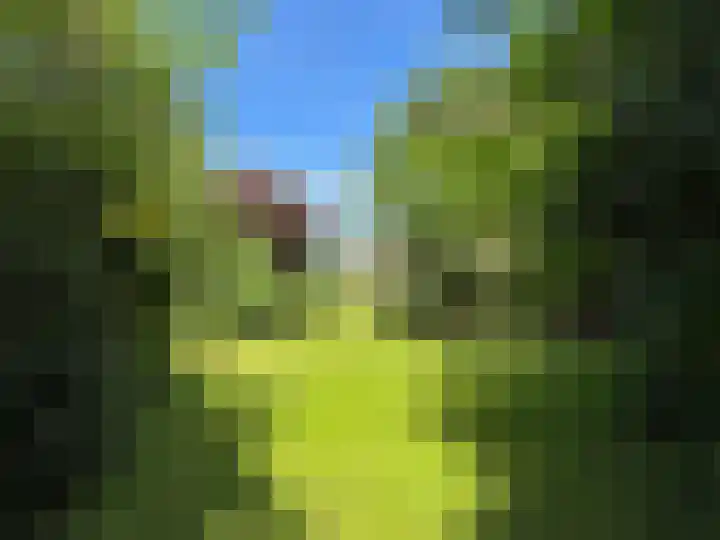 Verl Hoogeveense Vaart 57 Zwinderen thumbnail 21