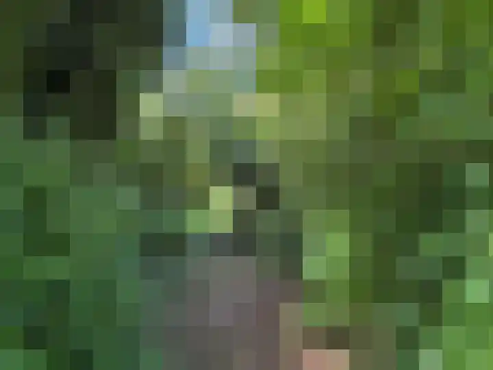 Verl Hoogeveense Vaart 57 Zwinderen thumbnail 23