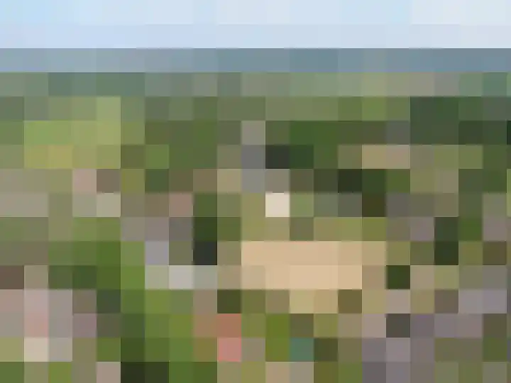 Verl Hoogeveense Vaart 57 Zwinderen thumbnail 28