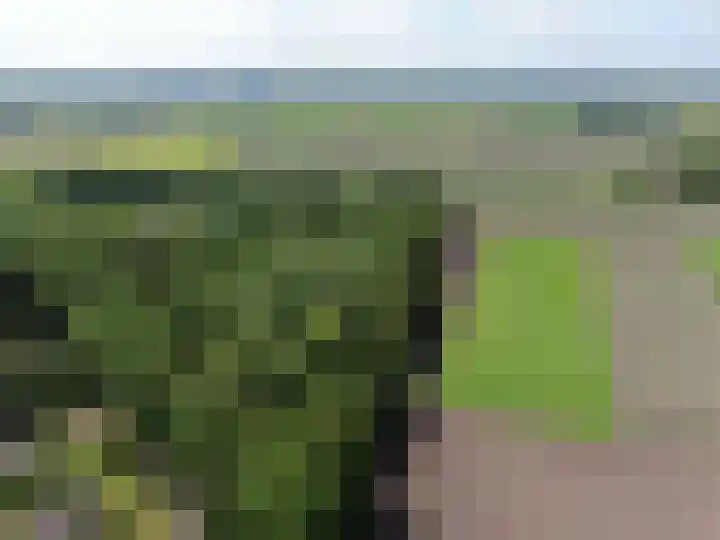Verl Hoogeveense Vaart 57 Zwinderen thumbnail 29