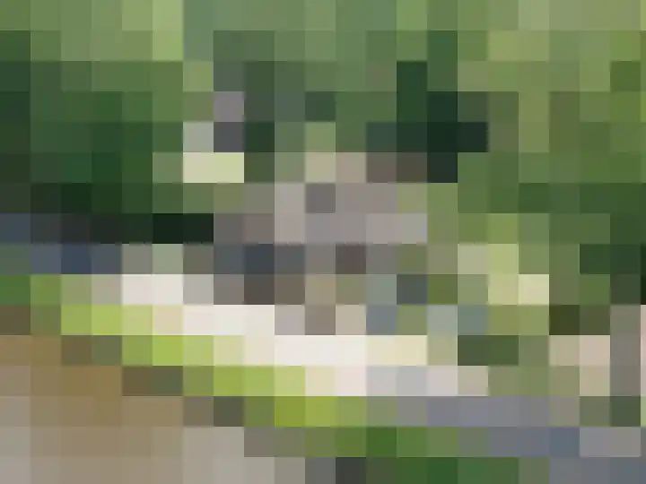 Verl Hoogeveense Vaart 57 Zwinderen thumbnail 4
