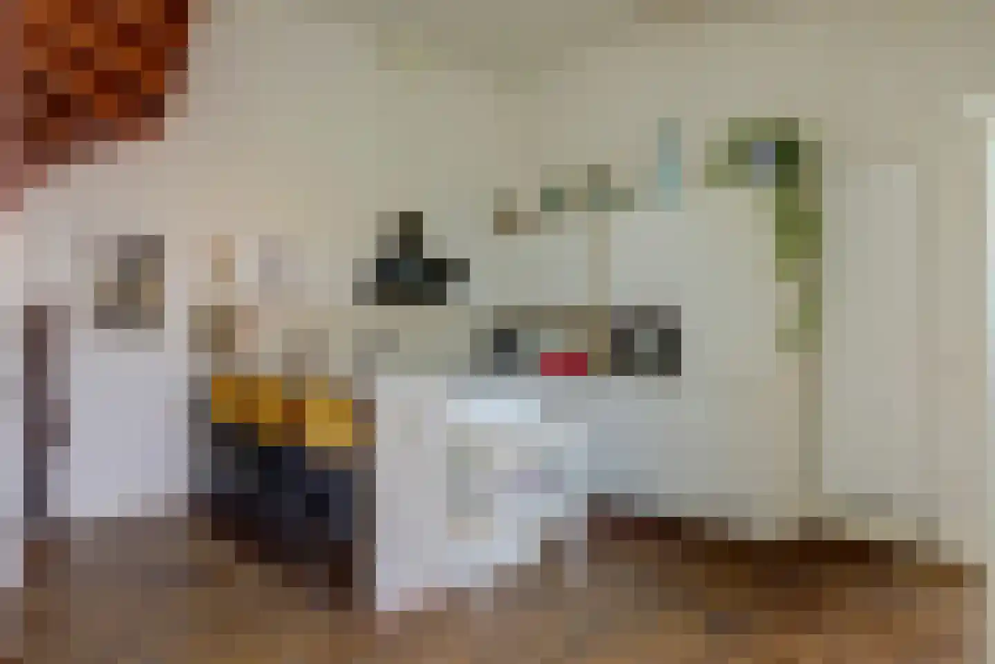 Verlaat 1 a Enkhuizen thumbnail 7