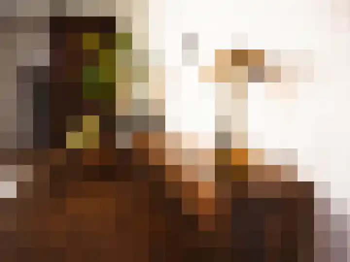 Verlaat 1 Enkhuizen thumbnail 14