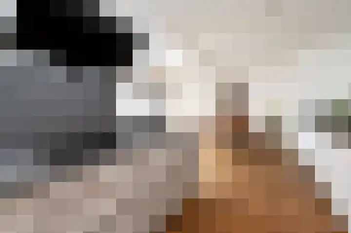 Verlaat 1 Enkhuizen thumbnail 27