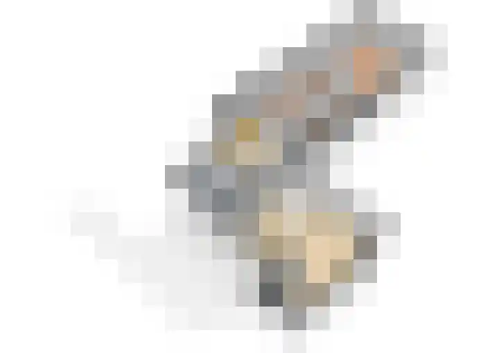 Verlaat 1 Enkhuizen thumbnail 36