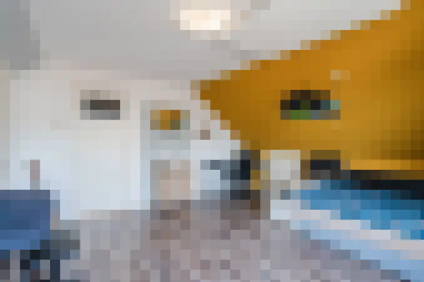 Verlaat 2 Heerhugowaard thumbnail 37