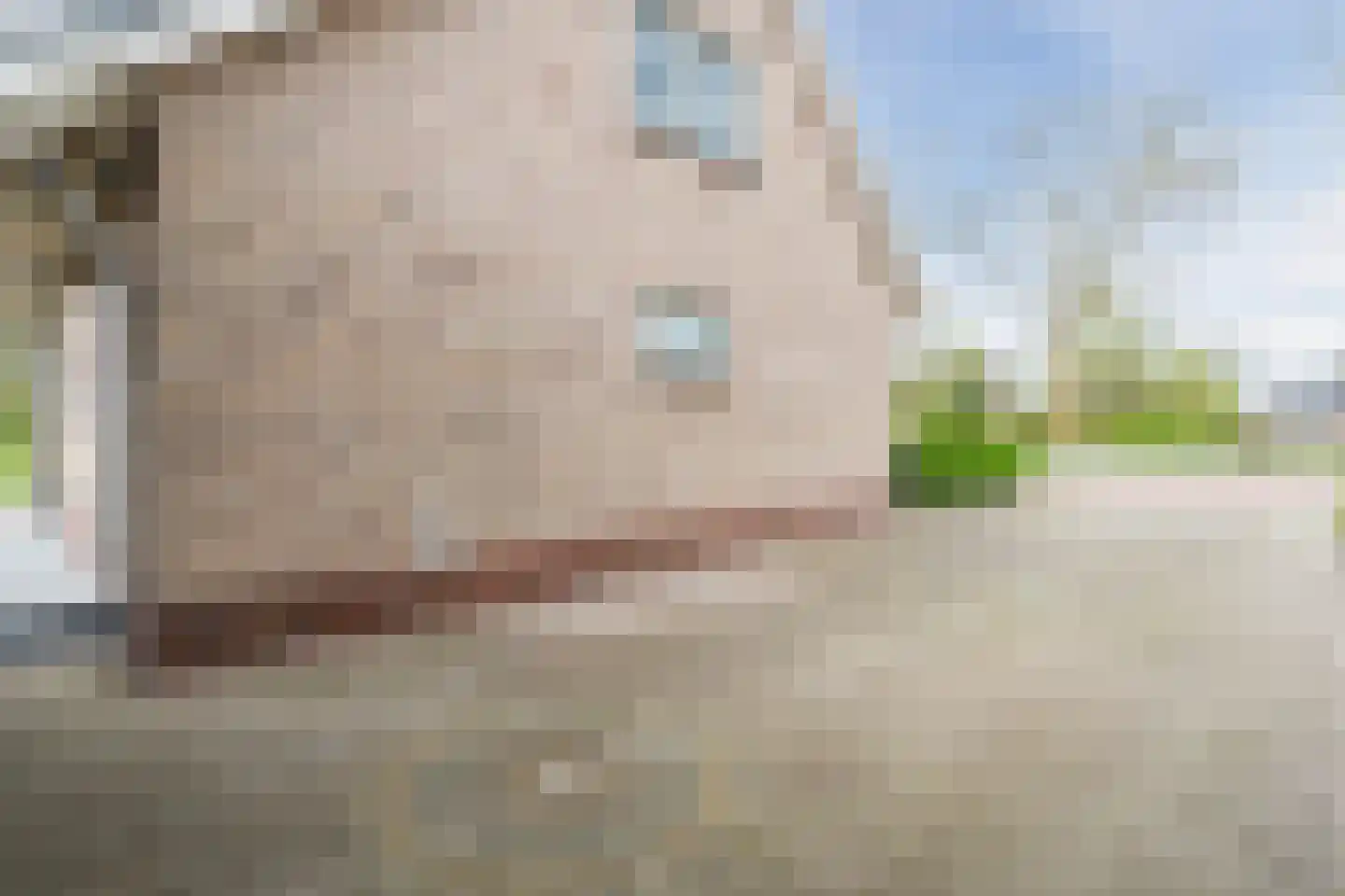 Verlaat 2 Heerhugowaard thumbnail 7