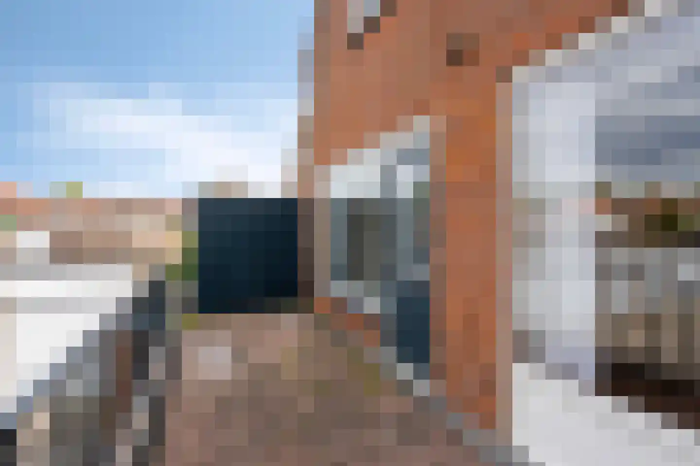 Verlaat 20 Enkhuizen thumbnail 20