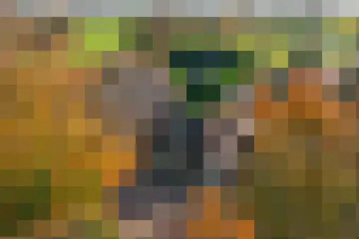 Verlaat 20 Oude Niedorp