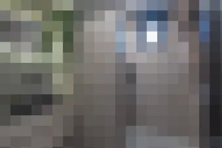Verlaat 20 Oude Niedorp thumbnail 10