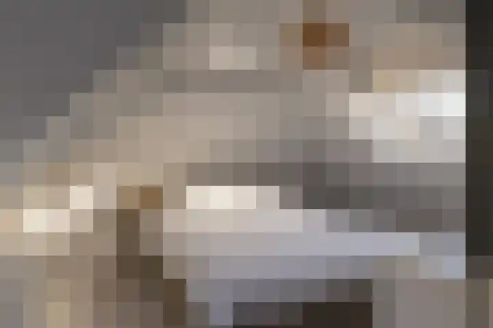 Verlaat 20 Oude Niedorp thumbnail 13