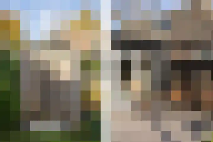 Verlaat 20 Oude Niedorp thumbnail 18