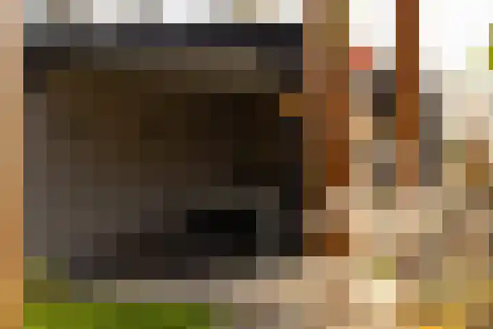 Verlaat 20 Oude Niedorp thumbnail 21