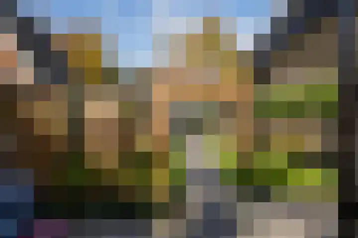 Verlaat 20 Oude Niedorp thumbnail 23