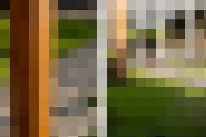 Verlaat 20 Oude Niedorp thumbnail 24