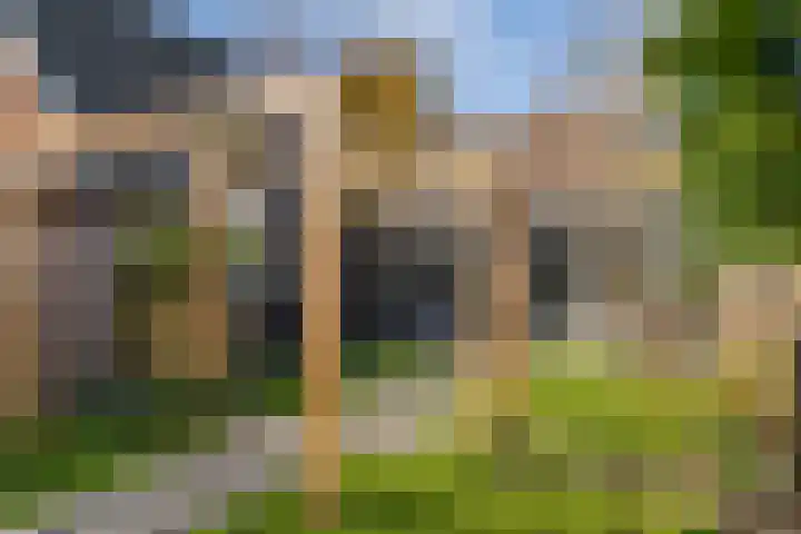 Verlaat 20 Oude Niedorp thumbnail 25