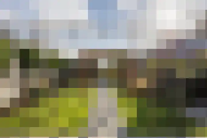 Verlaat 20 Oude Niedorp thumbnail 26