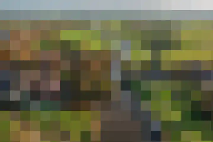 Verlaat 20 Oude Niedorp thumbnail 27