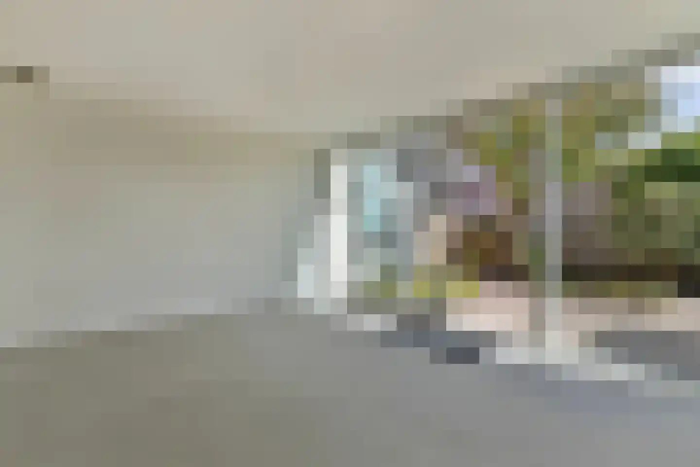 Verlaat 26 Leimuiden thumbnail 13