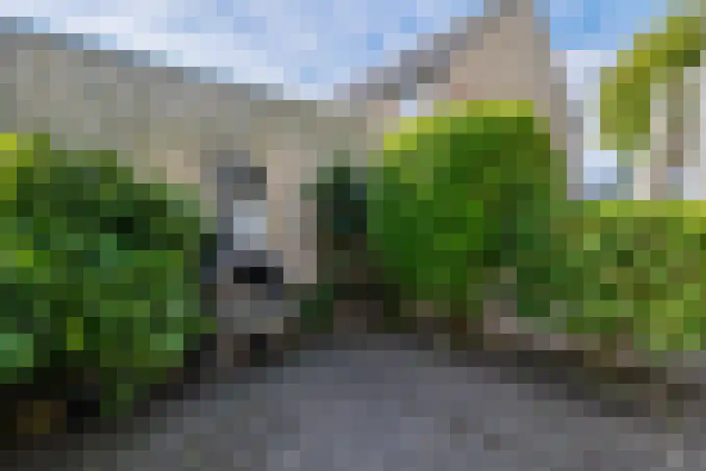Verlaat 26 Leimuiden thumbnail 18