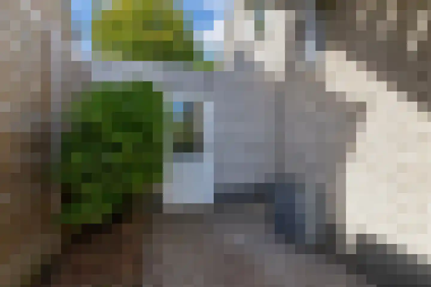 Verlaat 26 Leimuiden thumbnail 20