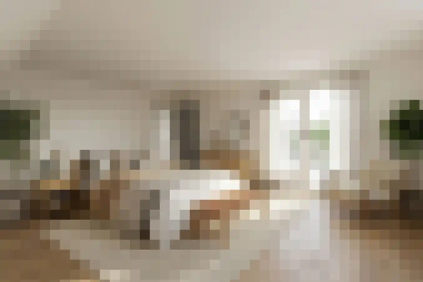 Verlaat 26 Leimuiden thumbnail 31