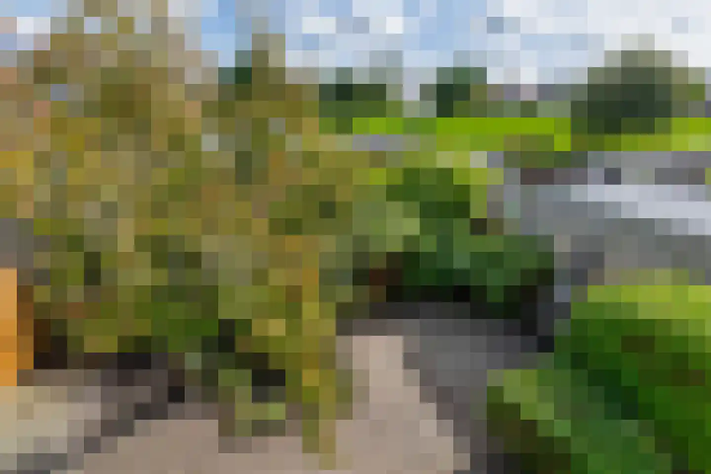 Verlaat 26 Leimuiden thumbnail 37