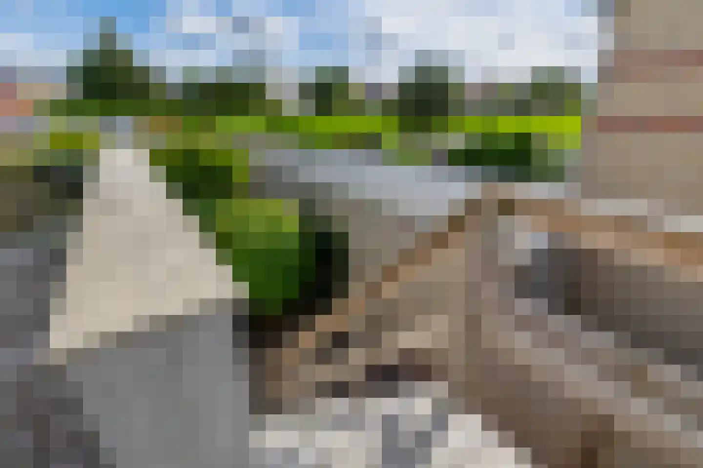 Verlaat 26 Leimuiden thumbnail 38