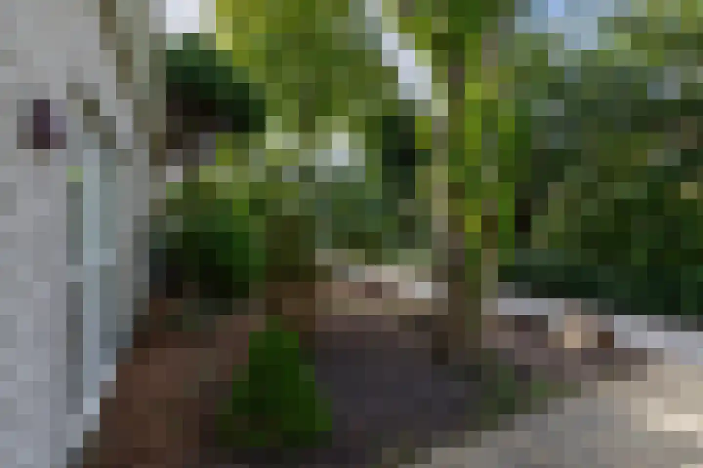 Verlaat 26 Leimuiden thumbnail 5