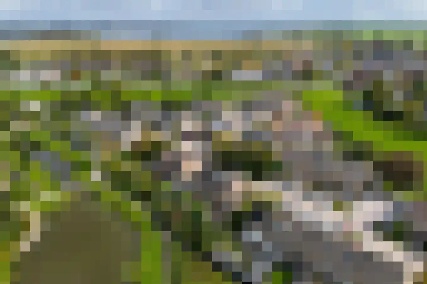 Verlaat 26 Leimuiden thumbnail 50