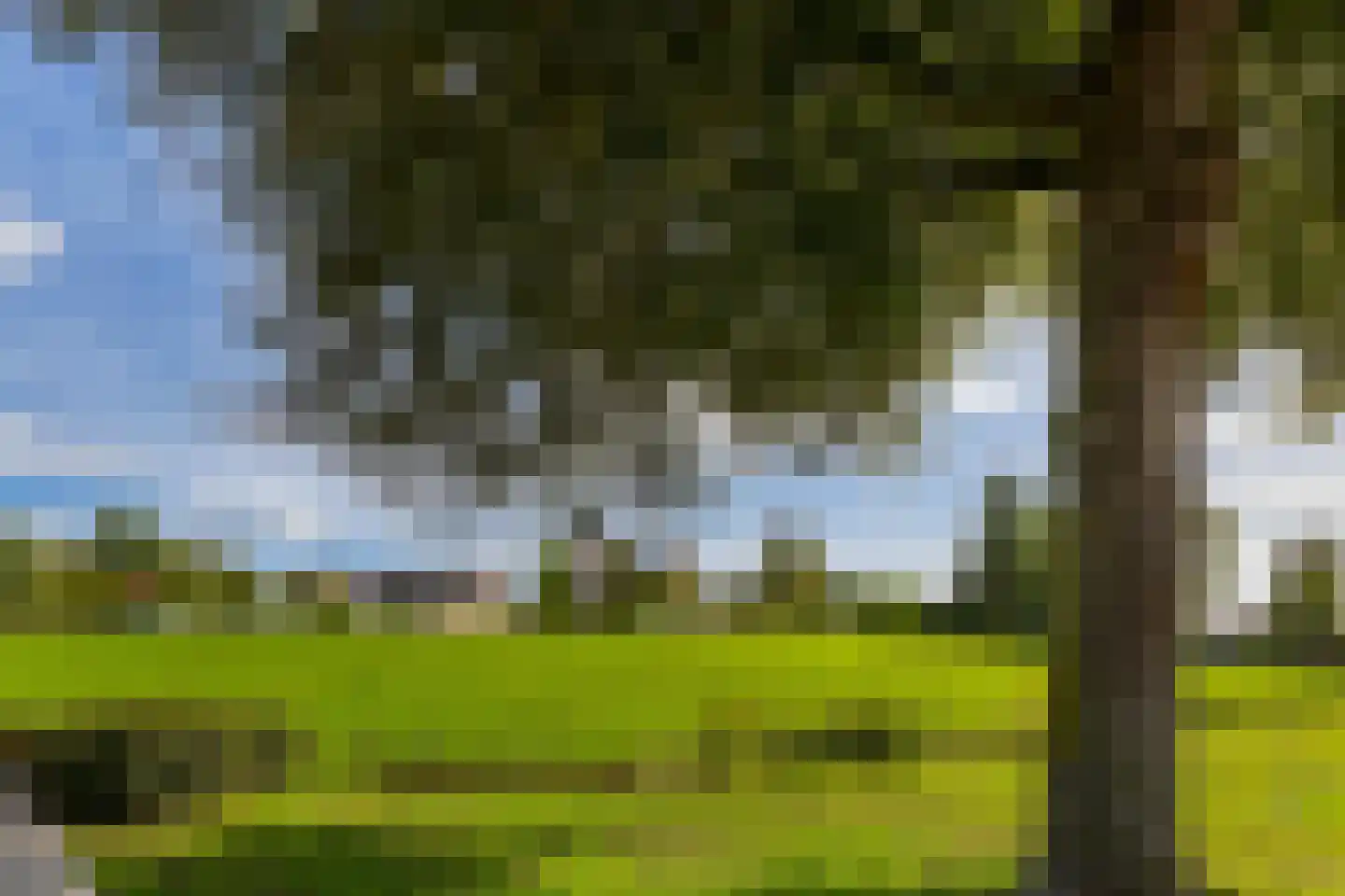 Verlaat 26 Leimuiden thumbnail 59