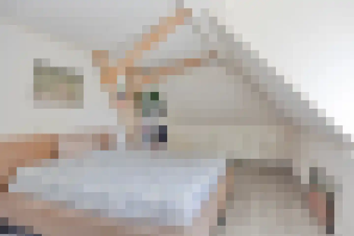Verlaat 34 Heerhugowaard thumbnail 34