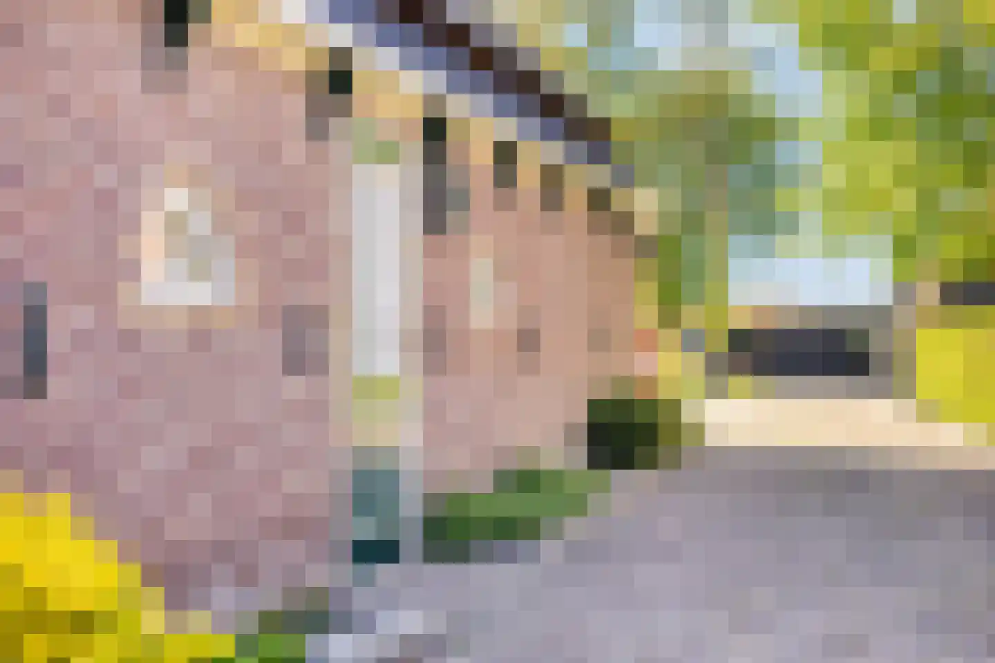 Verlaat 34 Heerhugowaard thumbnail 45