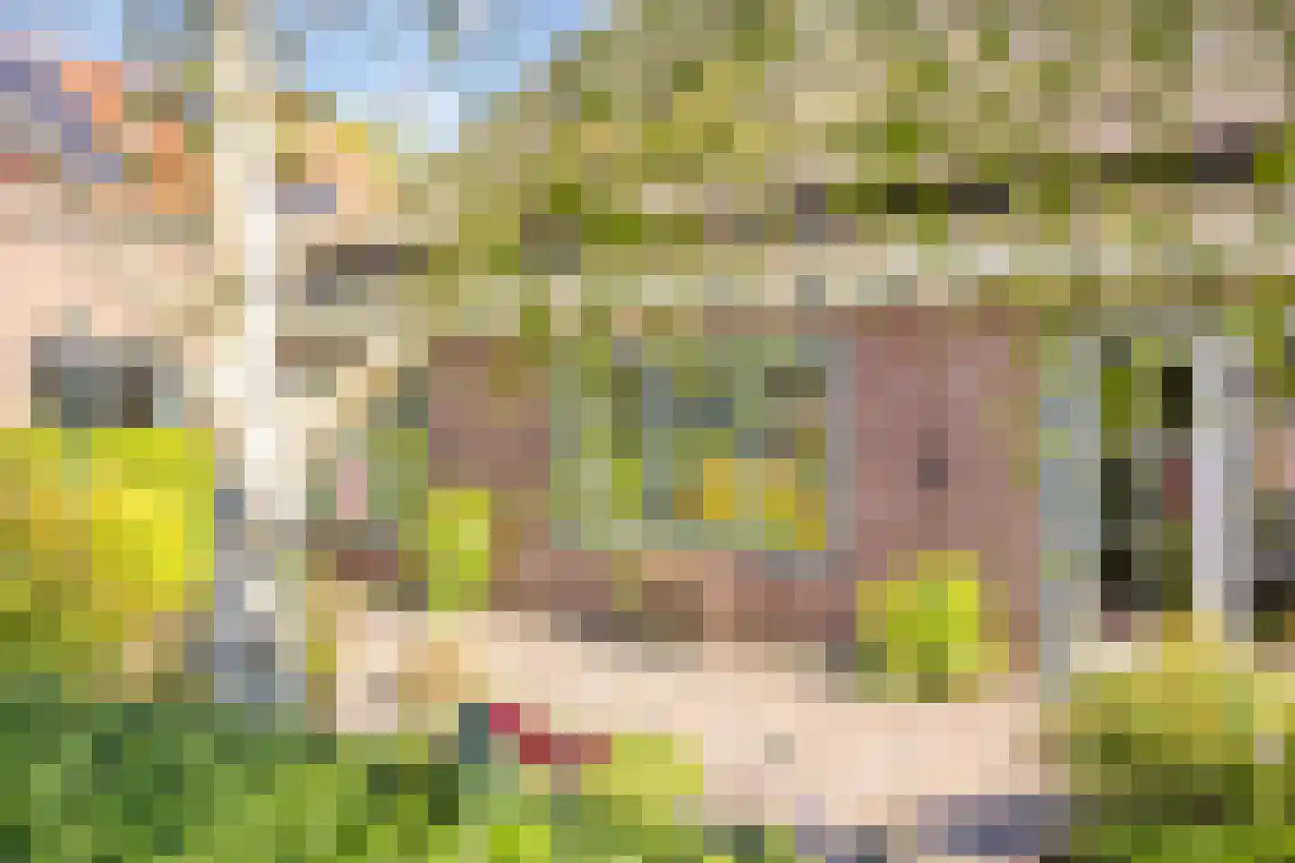 Verlaat 34 Heerhugowaard thumbnail 5