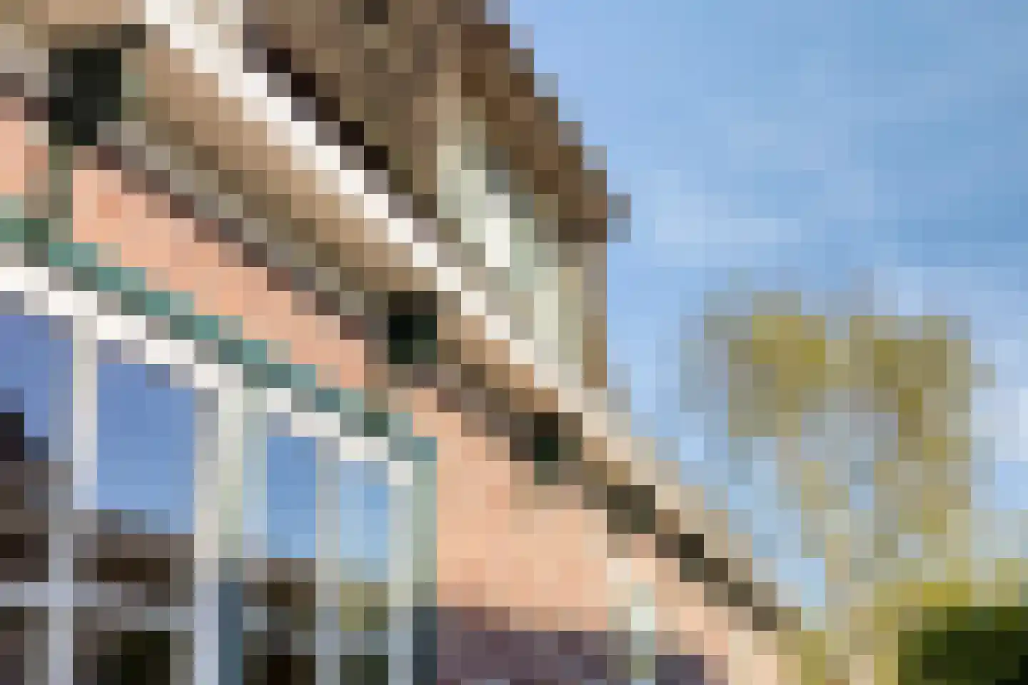 Verlaat 34 Heerhugowaard thumbnail 9