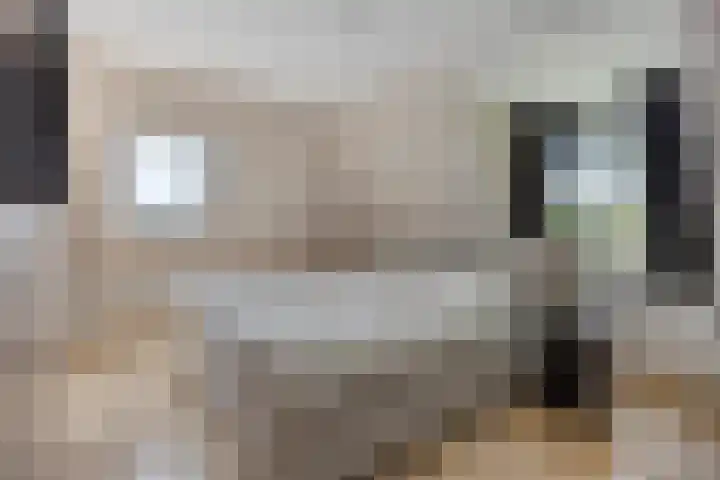 Verlaat 40 Heerhugowaard thumbnail 35